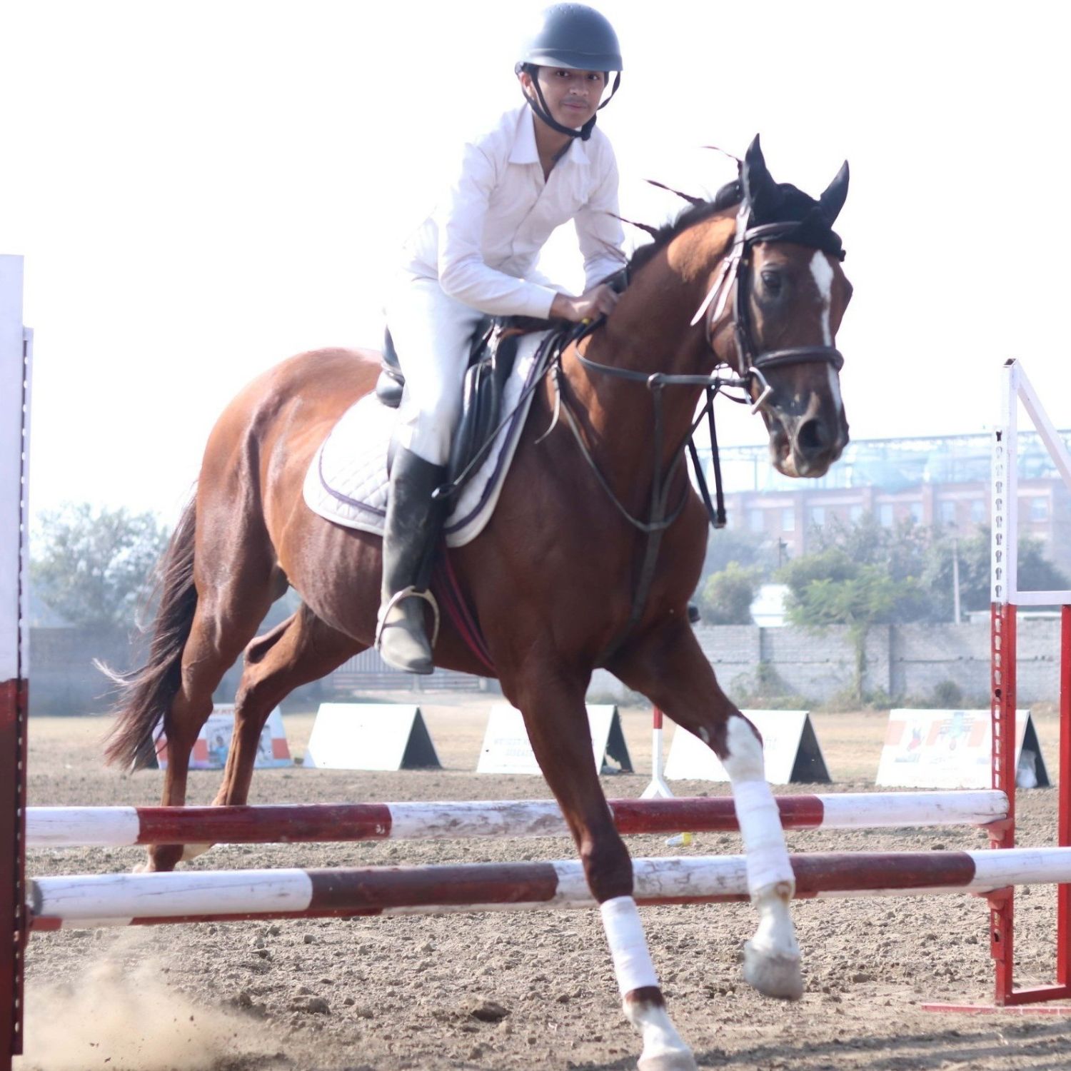 Noida Horse Show